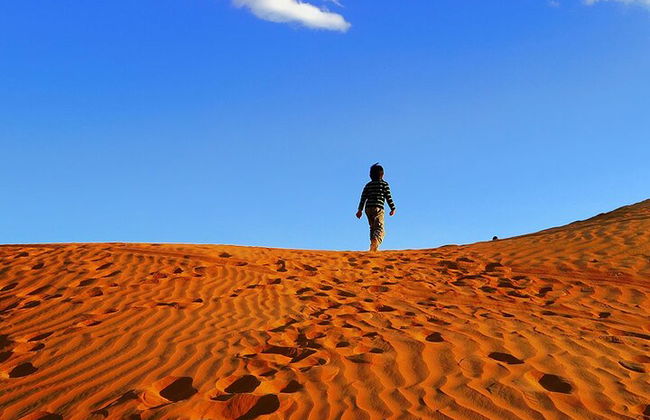 Safari Red Dunes Desert a Dubai - Foto 8