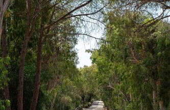 Randello Sunset - Foto 18