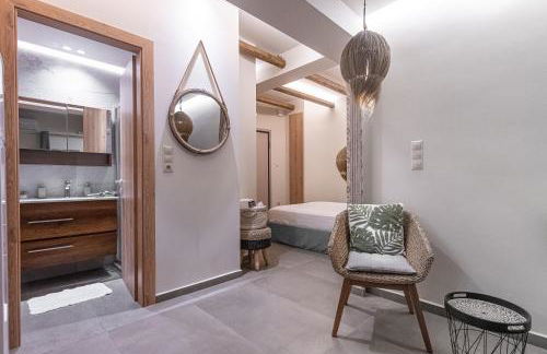 The Cactus Project - Foto 6