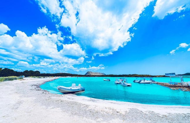 Apartment in Sos Alinos Near Sardinian Beaches - Photo 30