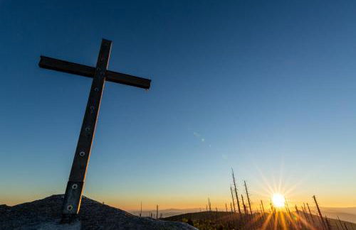 Ferienhaus im Bayerischen Wald - "Lindensalettl" mit Garten und Terrasse - Foto 46