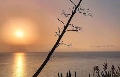 Villa Mare Nostrum Sounio - Foto 74