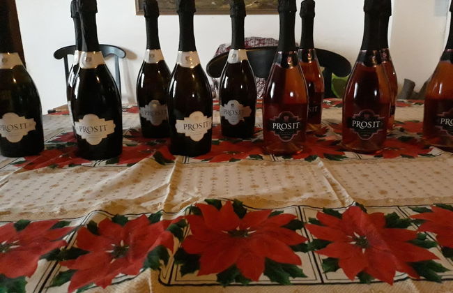 BB Villa Overlooking Sea, Mountain, Coast - Renovated Ancient Winery More - Photo 53