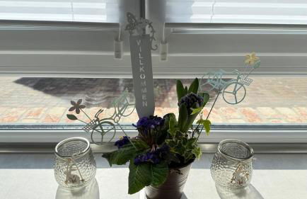 Ferienwohnung Irina - Foto 19