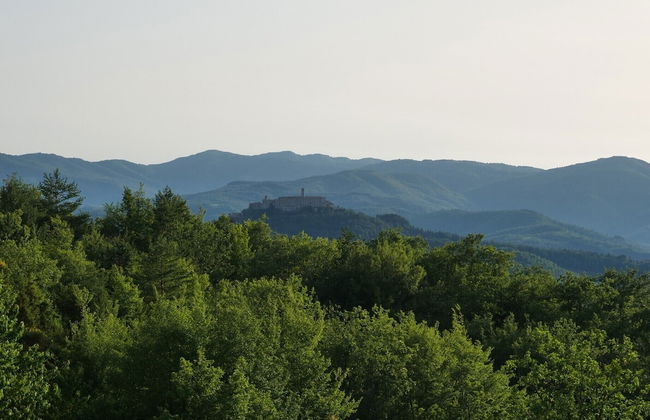 Villa Panorama - Photo 57