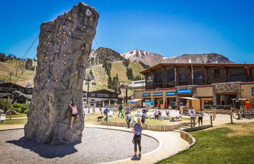 Mammoth Green 101 - Photo 47