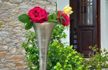 Milies Historic Chalet Pelion - Foto 13