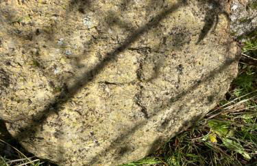 Casa Rural El Gerbal - Photo 9