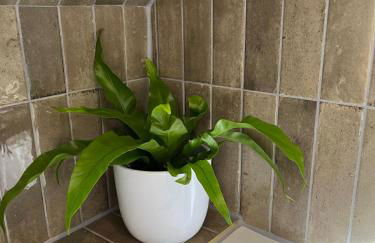 Lewis Lodge - Stunning & Exclusive Luxury Home in the Heart of Ballater, Royal Deeside - Foto 24