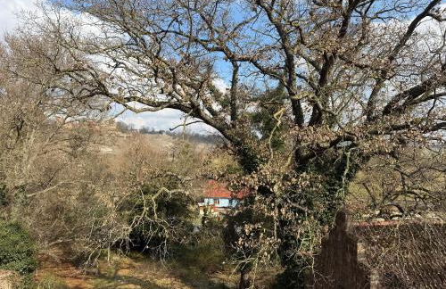 Schloss Zingst - Foto 69