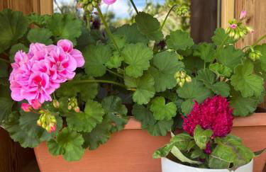 CASA VITTORIA - Foto 38