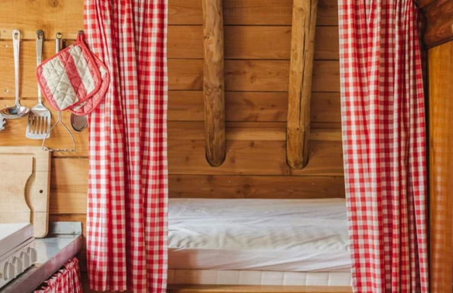 Holiday Home in Ruinerwold With Garden - Photo 2