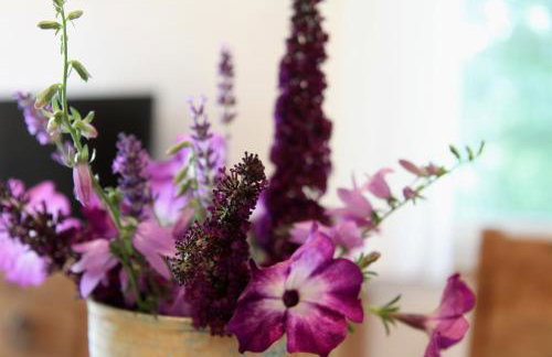 Gästehäusle Haag - Foto 13