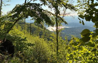 Villa Anna - Foto 41