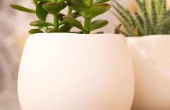 Le Chic & Familial, 2 Chambres, Idéal Familles & Pros - Foto 52