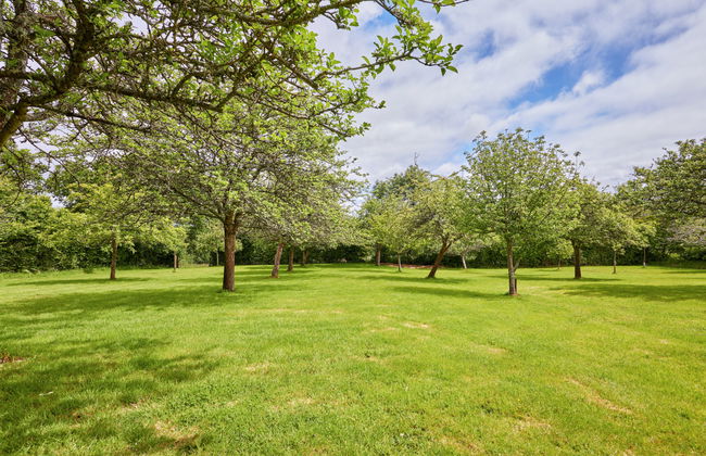 Le Lanchon - Foto 30