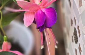 Villa del Poggio - Foto 30