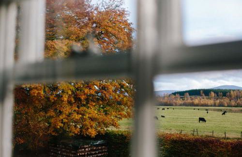 The Dell of Abernethy - A Woodland hideaway - Foto 116