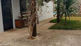 Casa em Igarape - Photo 3