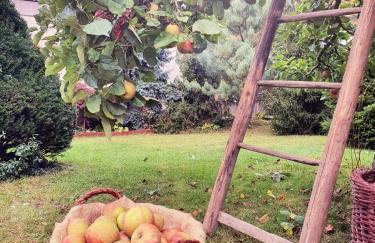 Großes Ferienhaus mit Garten für Familie & Gruppen bis 13 Personen - Foto 42