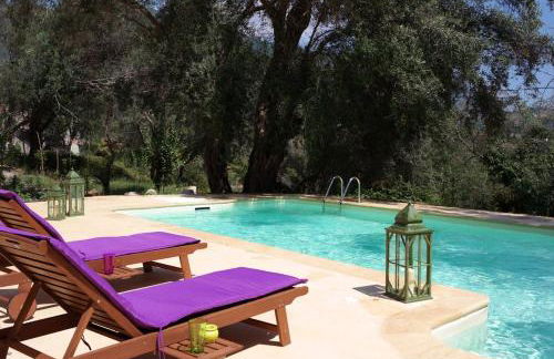 Titania il giardino segreto di prospero - Foto 52