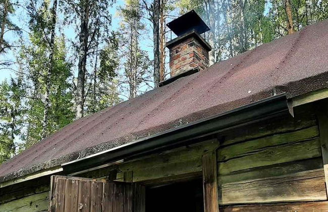 Parc national de Sipoonkorpi et expérience de sauna à fumée - Photo 5