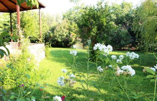 Nadia Apartments - Foto 9