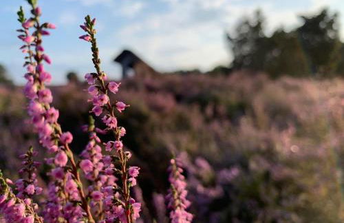 Loh Apartments - Wald.Natur.Ruhe. - Foto 43