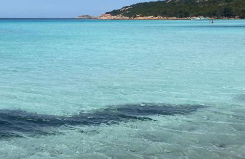 Casa Stella Residence Ea Bianca Baja Sardinia - Foto 44