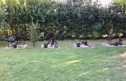 Società agricola le more Agriturismo La Dondina - Photo 31