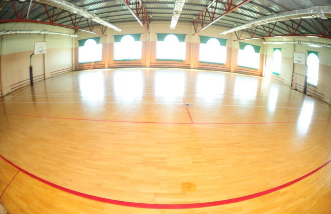 Cross Apartments and Tours - Photo 37