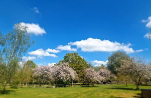 Modernised seven bedroom country house and garden with hot tub - Foto 18