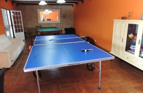 Família Gaiolas - Foto 28