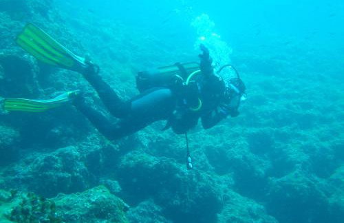 Villa Mare & Monti Istra - Foto 46