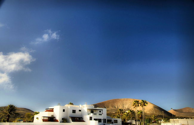 Finca La Florida - Foto 6