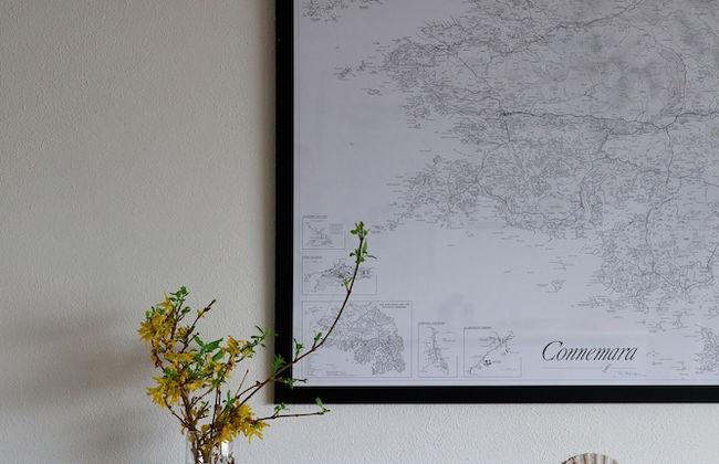 Roundstone Quay - Foto 32