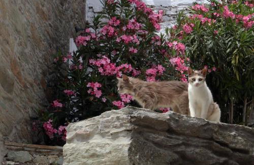 Karastamati΄s Tower House - Foto 34