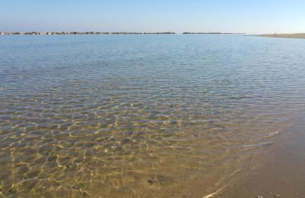 Relais Il Giardino fra gli Ulivi - Foto 58