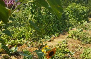 Gite Les Lavandes - Photo 49