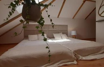 Domek - Apartament - Foto 4