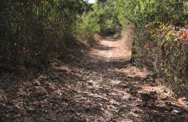 Studio Views Apartment, Cortijo Fruitful Hills - Photo 47
