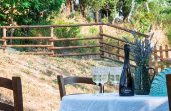 Rustic Country House - Foto 21