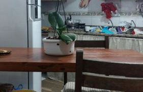 Solange apartment-Casa Parque de Olivenca - Photo 54