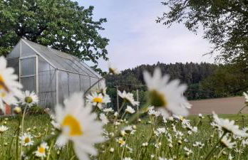 Ferienwohnung Eichkatzel - Foto 48