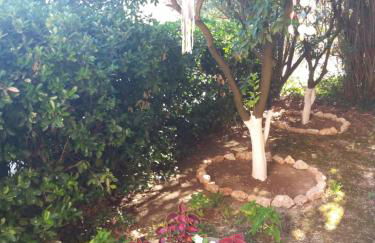 Alexandra Spingou Apartments - Foto 43