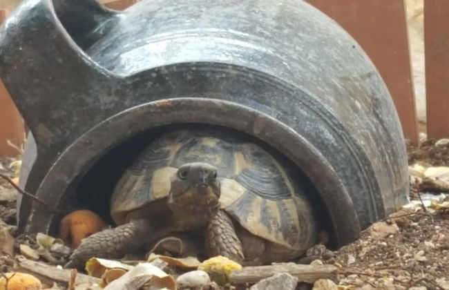 Apartment Caceris - Foto 21