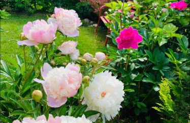 Bright new studio 43m2 with a beautiful garden - Photo 10