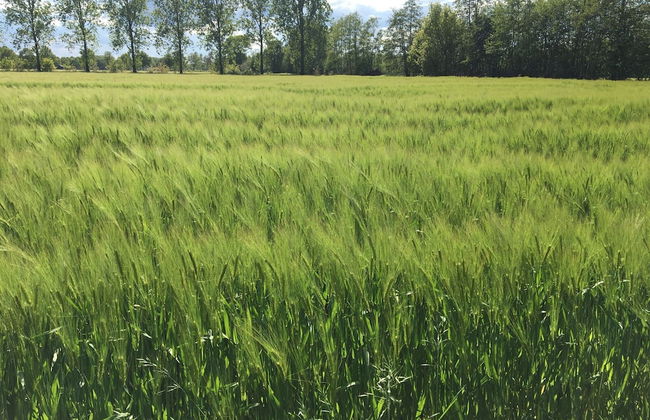 Cozy Holiday Home in Nistelrode With Garden - Photo 77