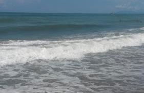 House Viareggio - Foto 46