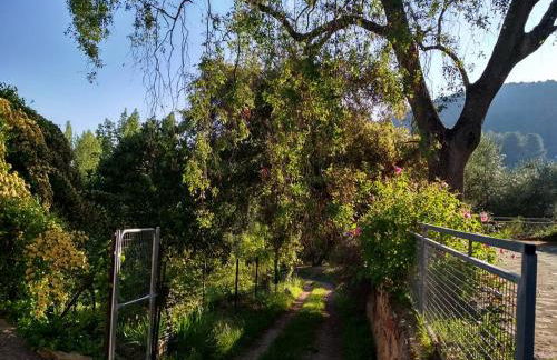 Mesoncillo NEO - Foto 9